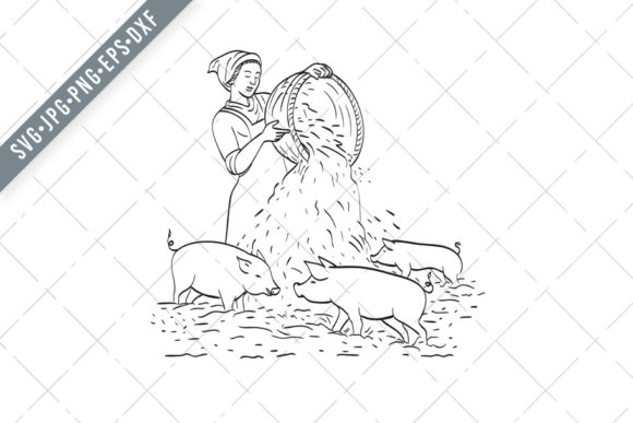 Female Peasant Farmer Feeding Pigs Graphics