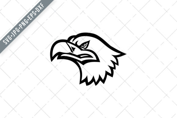 Head of a Eurasian Sea Eagle SVG DXF for Crafting