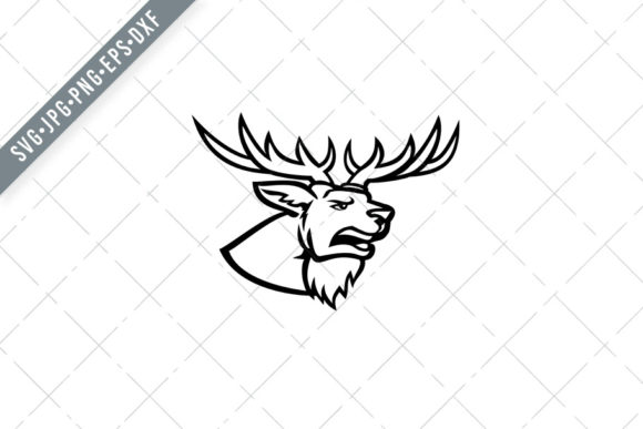 Head of a Red Deer Cervus Elaphus SVG for Illustrations and Graphics