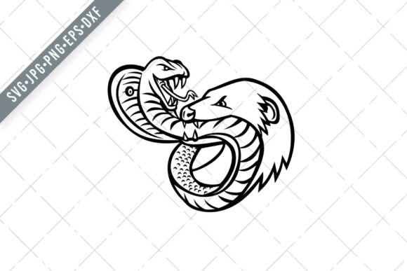 King Cobra Snake and Mongoose Fighting Graphic Design
