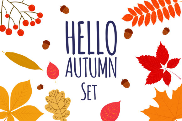 Set of Elements and Compositions Foliage Review